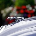 Jaguar Cars In Chicago: Elevate Your Night Out With Luxurious Limo Service