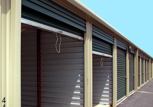Choosing the Right Storage Unit for Your Jaguar and Belongings